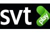 Sveriges Television,  Barn,  Film & drama,  Kultur & n�je,  Samh�lle & fakta, Nyheter, Sport, �ppet arkiv