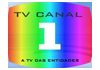 Tv Canal1. a tv des entidades